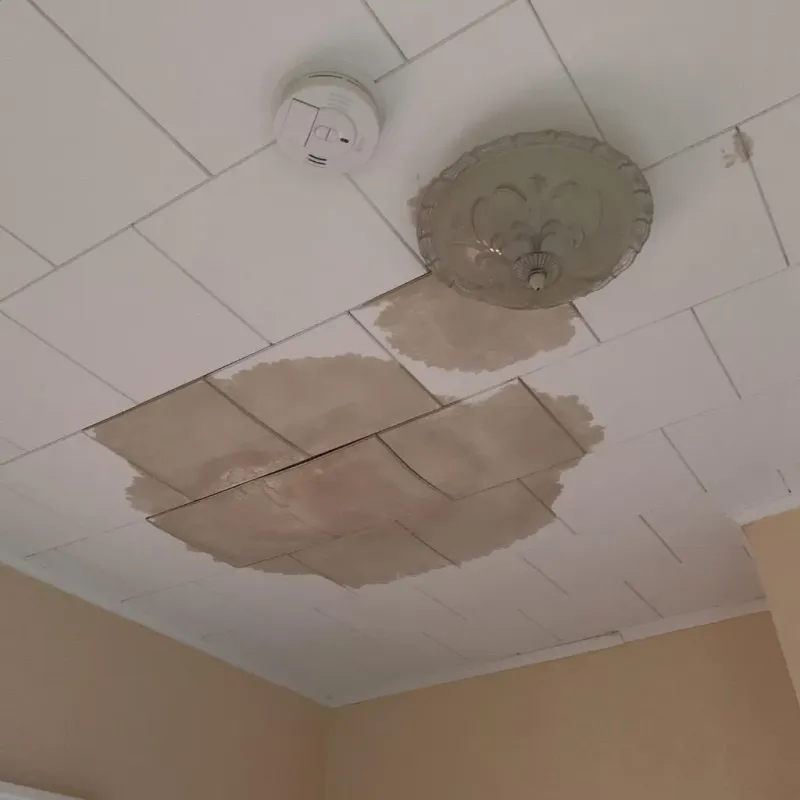 Ceiling Water Damage Repair in Cleburne, TX