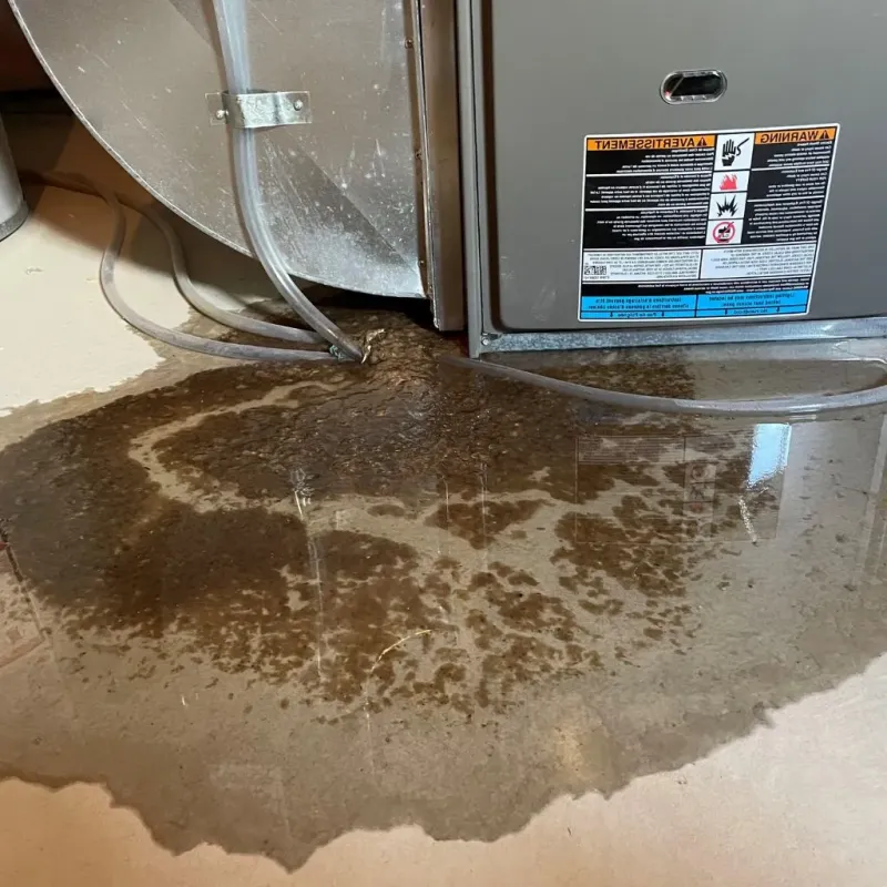 Pipe Burst and Leak Restoration in Cleburne, TX