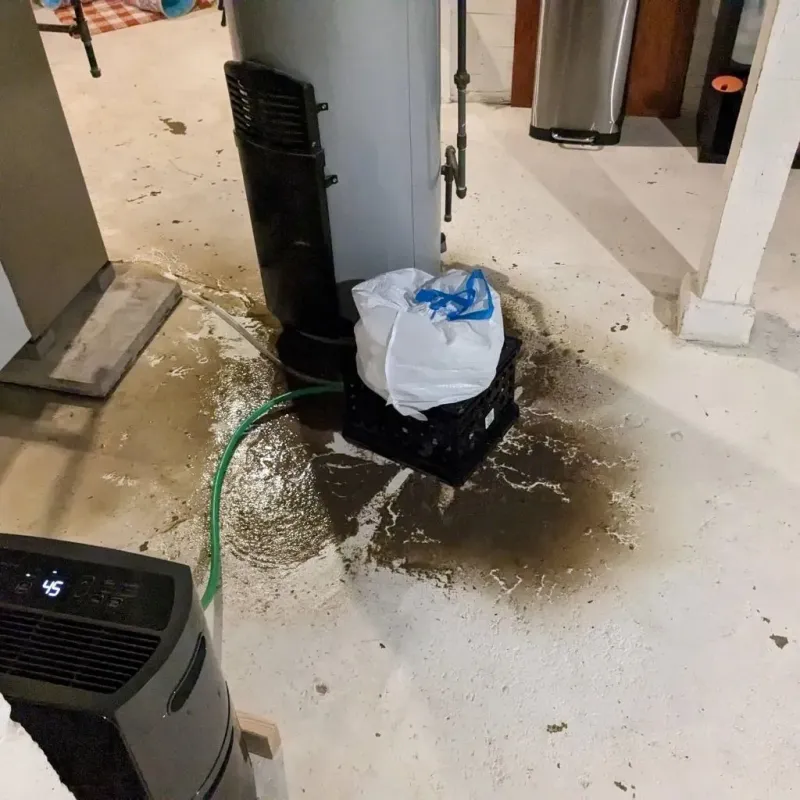 Sewage Backup Cleanup Service in Cleburne, TX